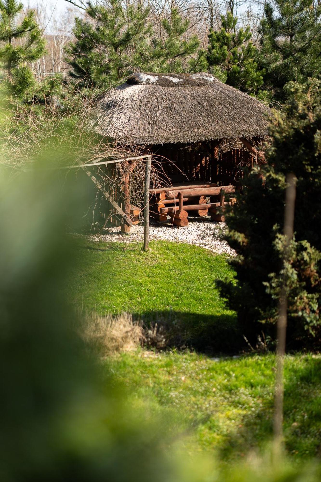Villa Sinaloa-Spa Ruda Slaska Ngoại thất bức ảnh